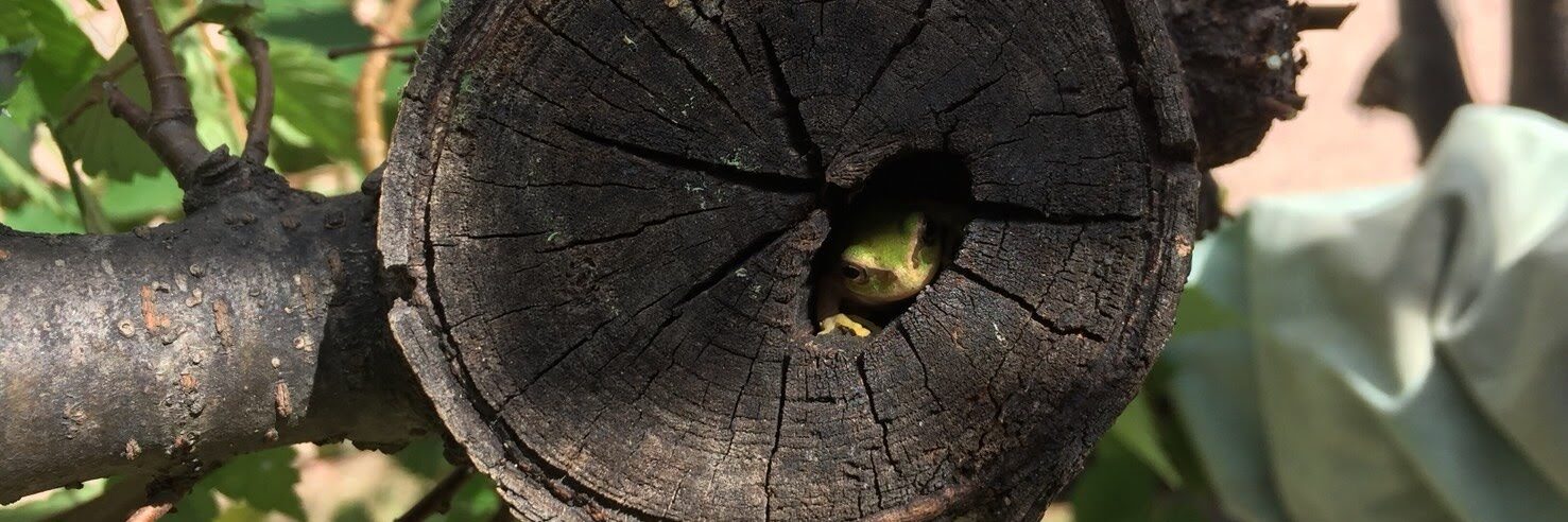 胃がキリキリする。