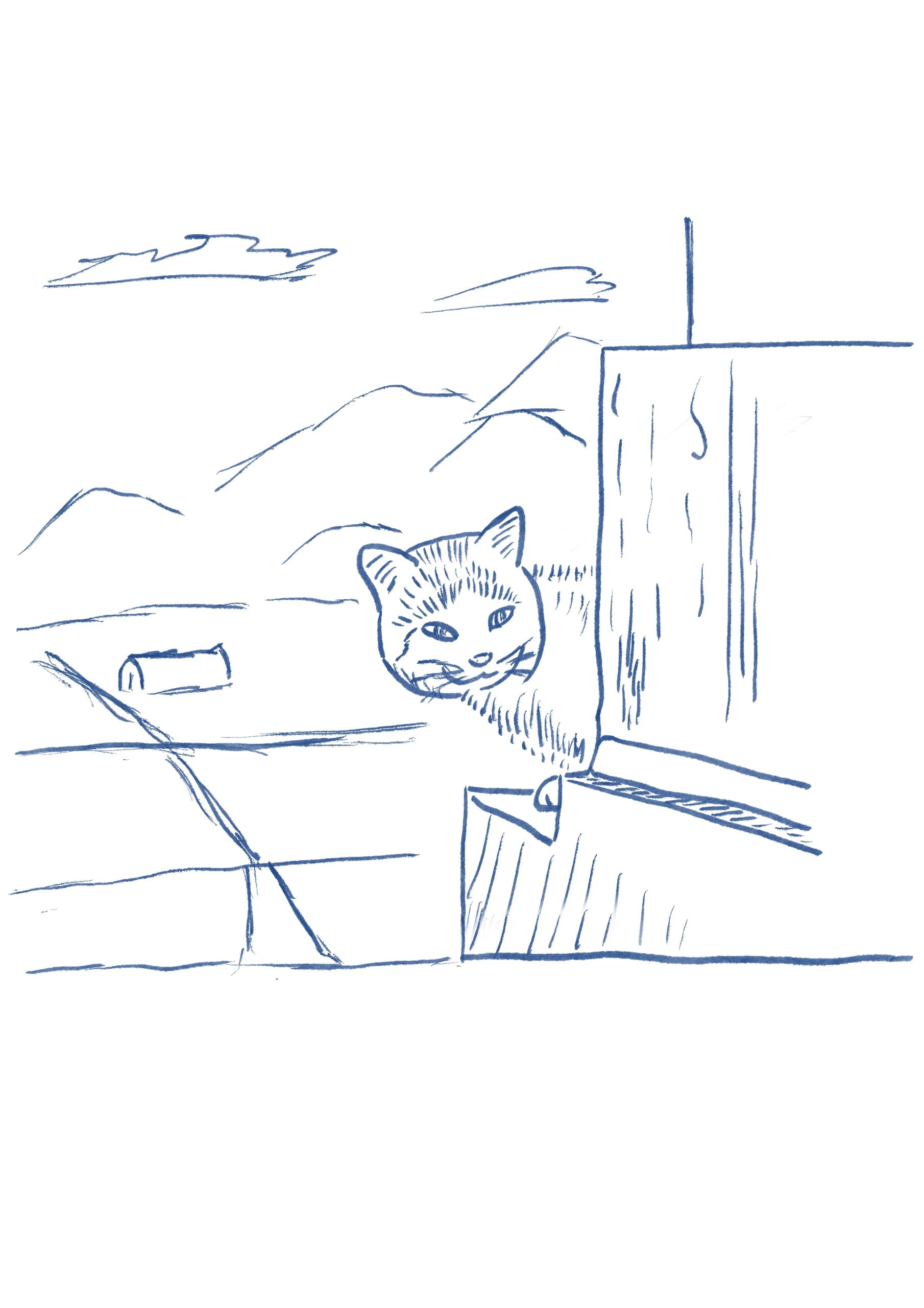 猫と作家